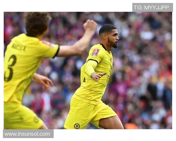 印尼与巴勒斯坦精彩对决视频直播全程回顾与分析