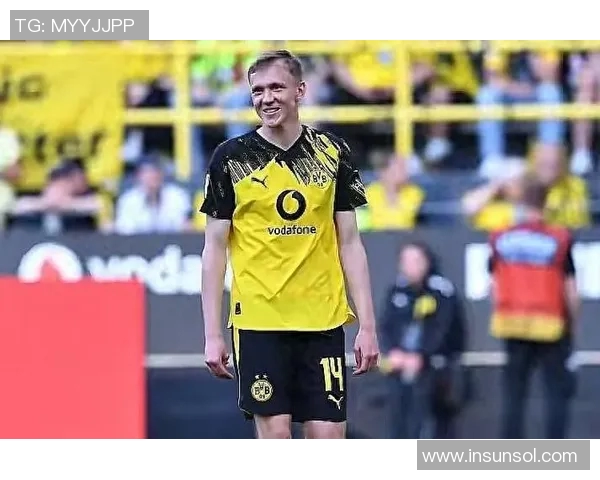 多特蒙德球迷暴力事件引发欧冠禁赛与高额罚款惩罚措施