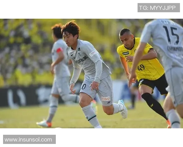 2019年福冈黄蜂与大宫松鼠精彩对决回顾与赛季分析